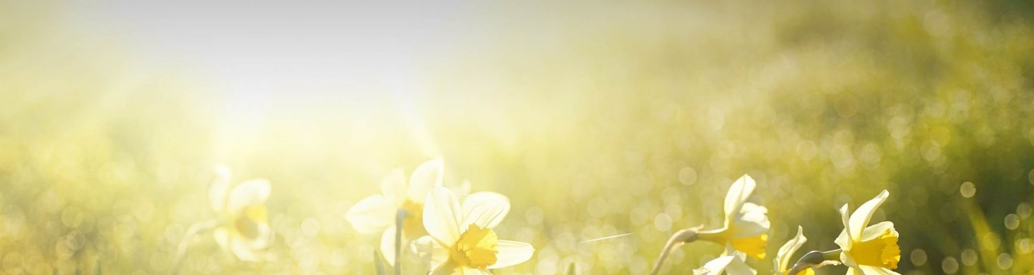 Dust621's Blog